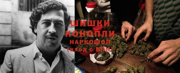 трава Долгопрудный