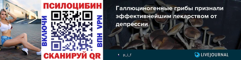 дарк нет телеграм  Златоуст  Галлюциногенные грибы GOLDEN TEACHER  где найти наркотики 