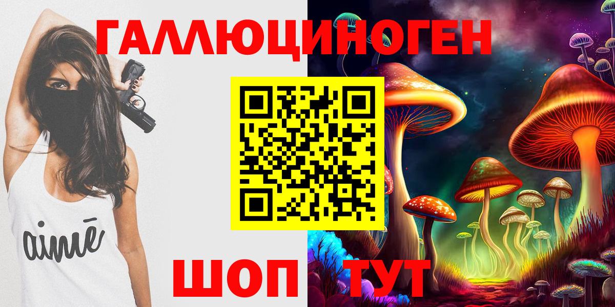 Псилоцибиновые грибы Psilocybine cubensis Златоуст